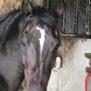 Meet your Posher, Jeanette